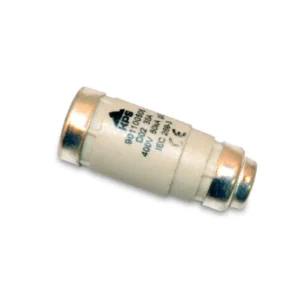 Fusible Neozed 35A 380V D02